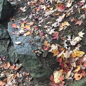 Meet your Posher, Chen